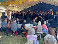 Hilton Arts Festival hosts To Life, With Love